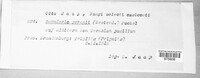 Image Associated With the Occurence